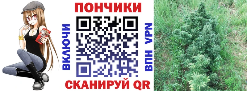 Как найти закладки Фурманов МАРИХУАНА МЕФ Бутират Alpha-PVP ОМГ ОМГ tor Гашиш COCAIN Амфетамин