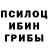 Псилоцибиновые грибы прущие грибы T Biru