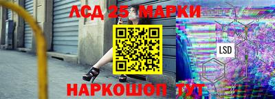 гидропоника Пугачёв