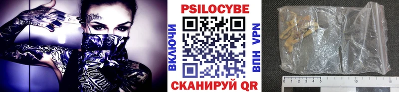 hydra вход  Фурманов  Псилоцибиновые грибы Cubensis 