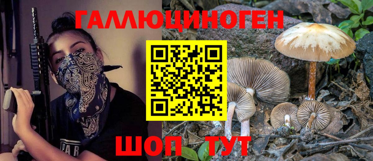 Галлюциногенные грибы мицелий  Вход с VPN  Фурманов 